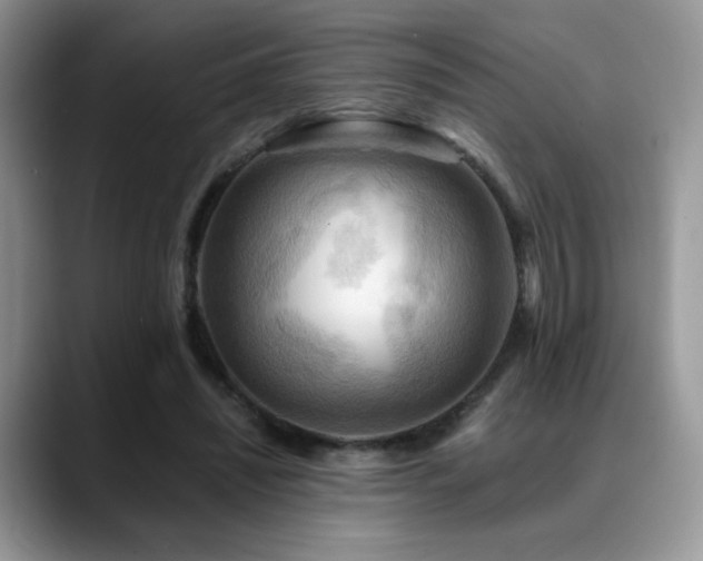 X0000088860444200706081156