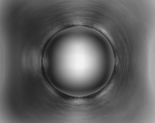 X0000088860445200706081156