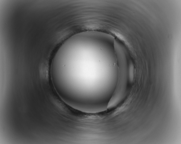 X0000088860446200706081156