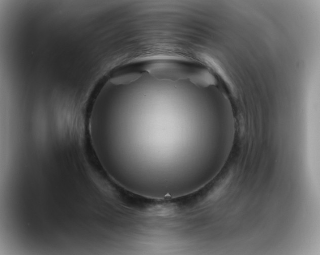X0000088860447200706081156