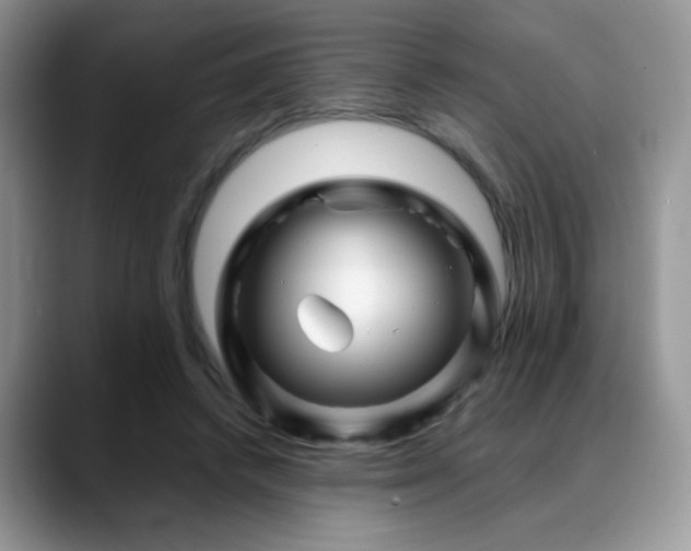 X0000088860448200706081156