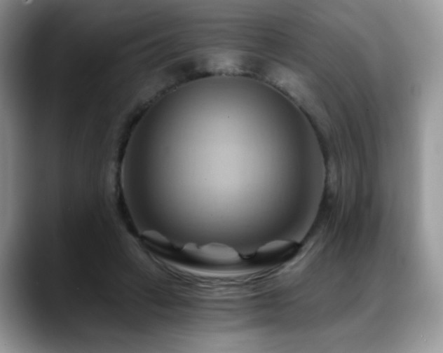 X0000088860449200706081156