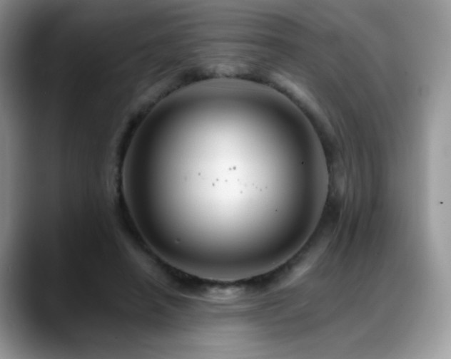 X0000088860450200706081156