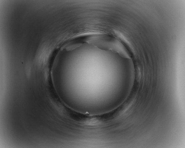 X0000088860451200706081156