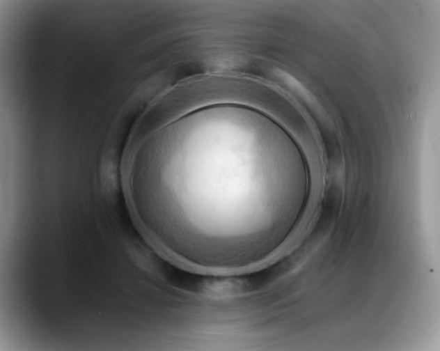 X0000088860452200706081156
