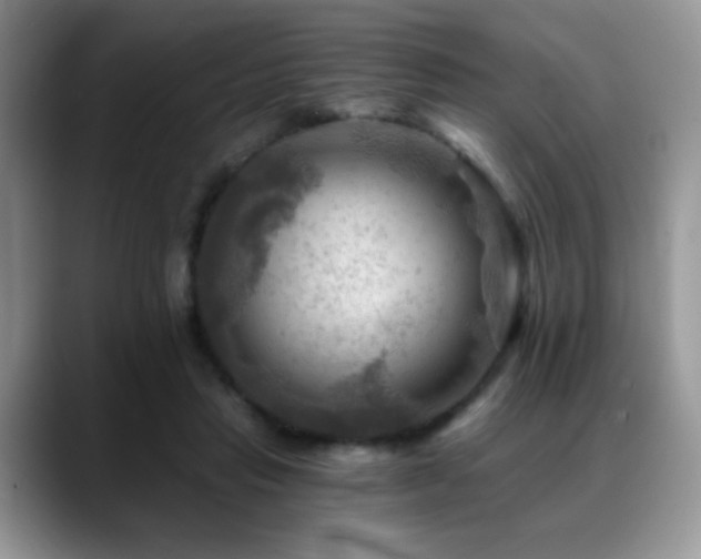 X0000088860453200706081156