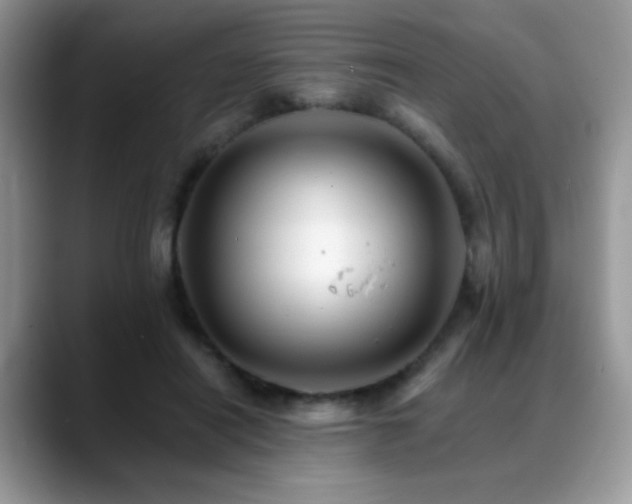 X0000088860454200706081156