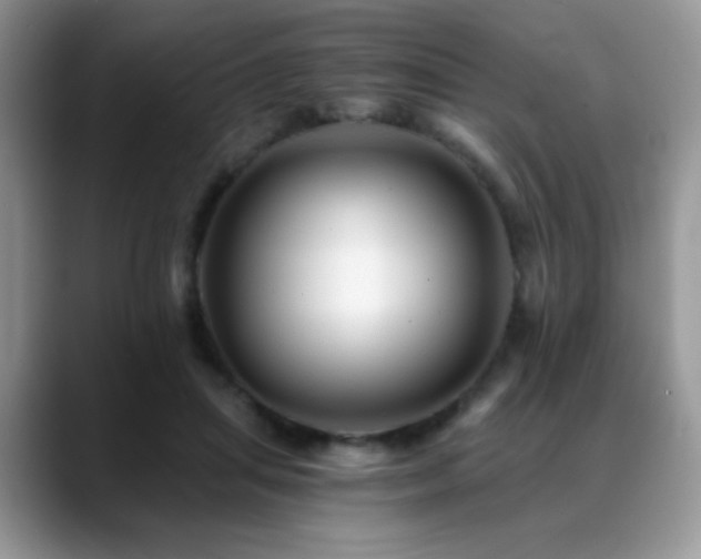 X0000088860455200706081156