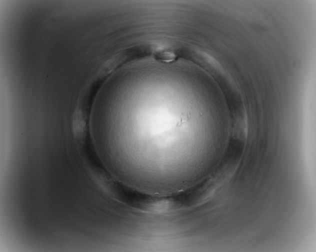 X0000088860456200706081156