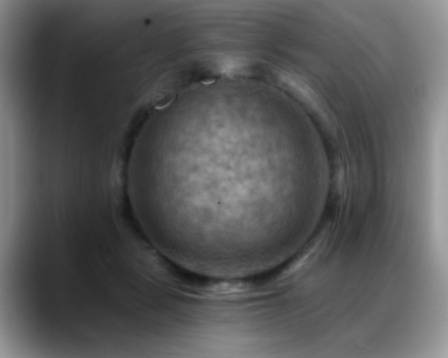 X0000088860461200706081156