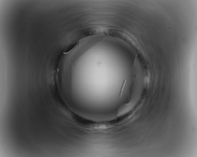 X0000088860462200706081156
