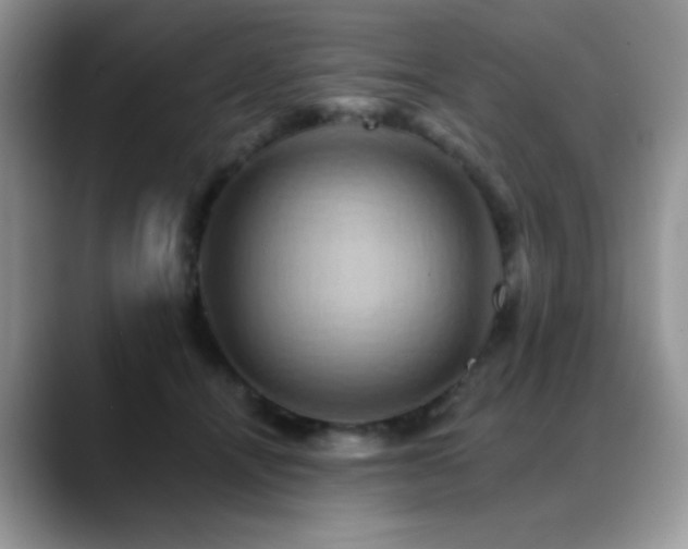 X0000088860464200706081156
