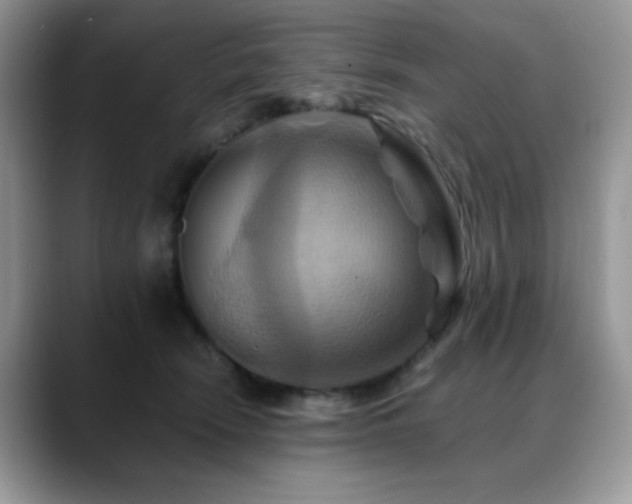 X0000088860466200706081156
