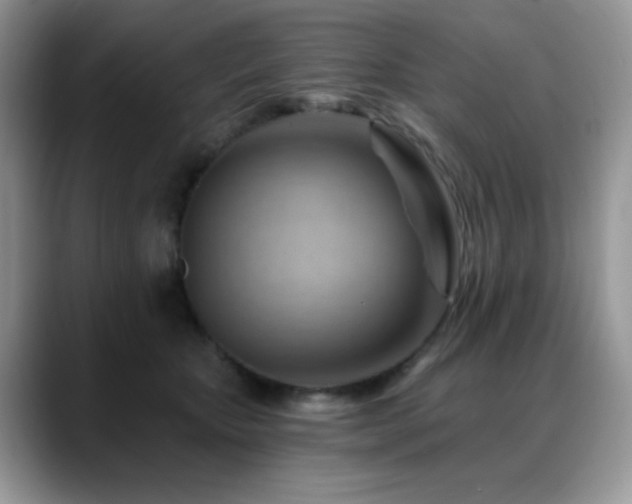 X0000088860467200706081156