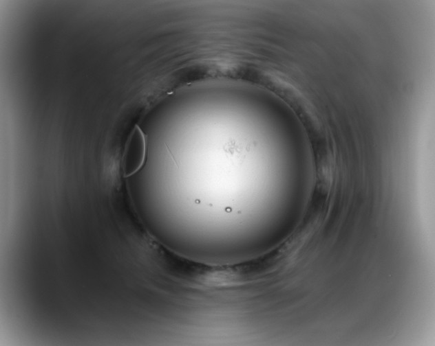 X0000088860468200706081156