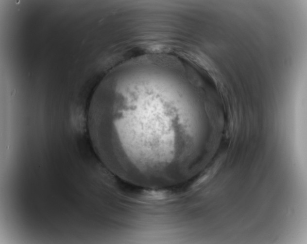X0000088860469200706081156