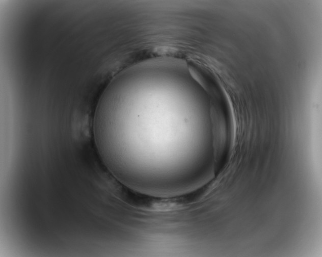 X0000088860470200706081156