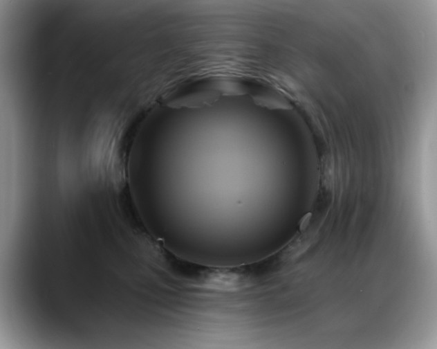 X0000088860471200706081156