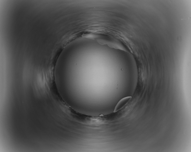 X0000088860475200706081156
