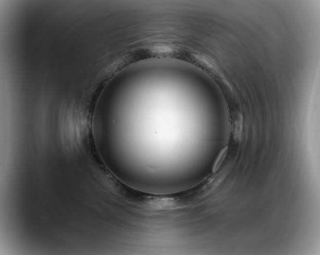 X0000088860476200706081156