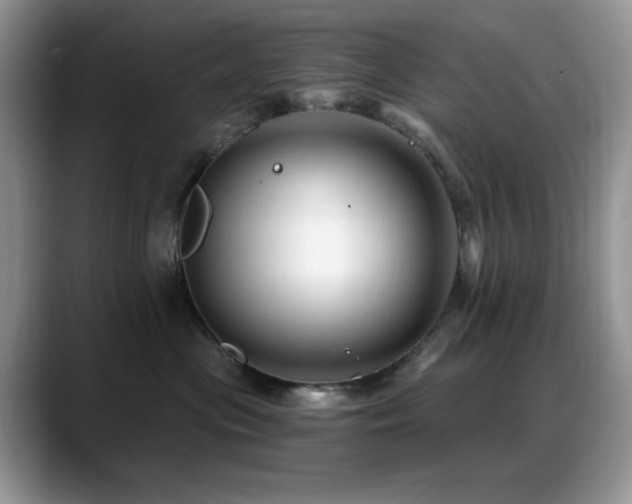X0000088860477200706081156