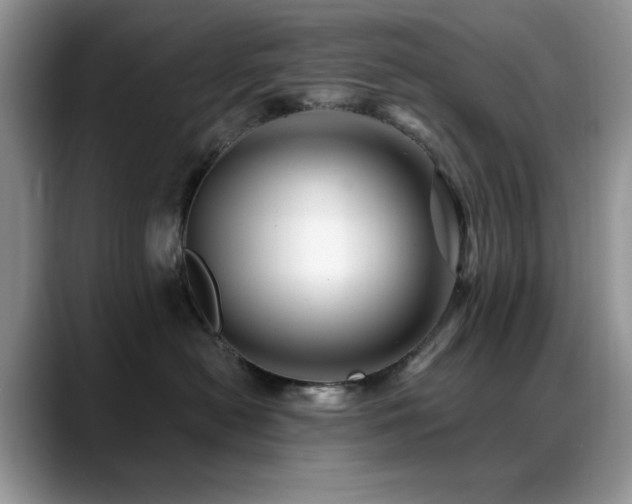 X0000088860478200706081156