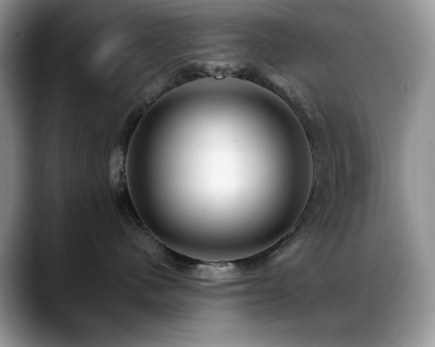 X0000088860480200706081156