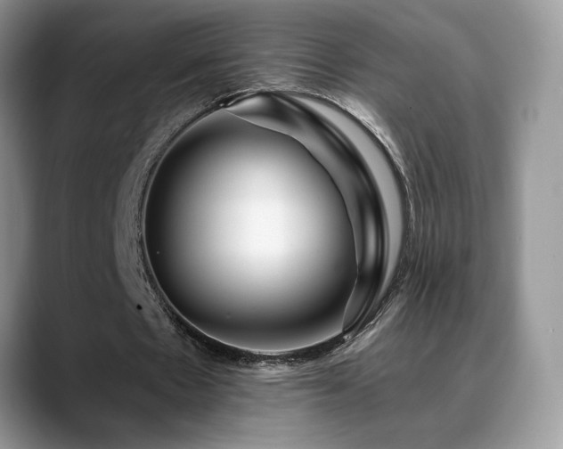X0000088860481200706081155