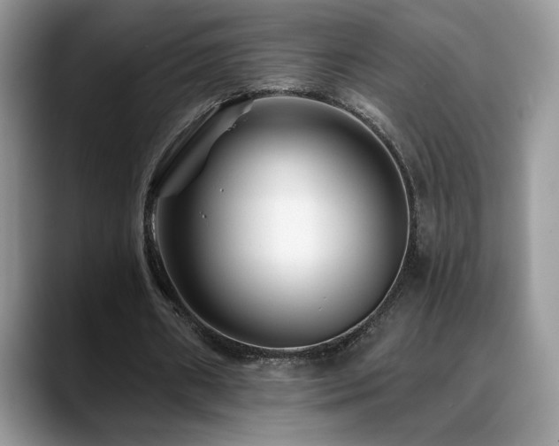 X0000088860482200706081155