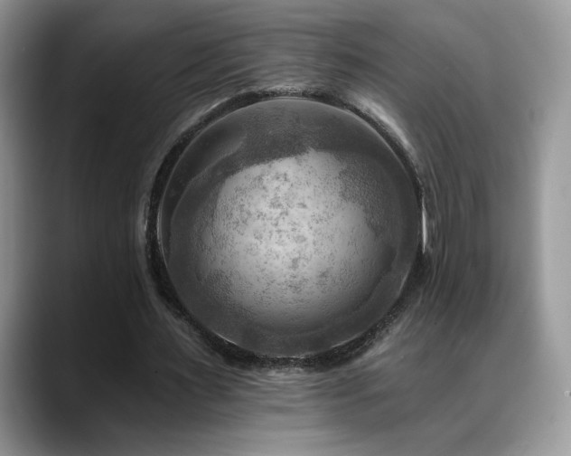 X0000088860483200706081155