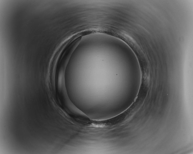 X0000088860484200706081155
