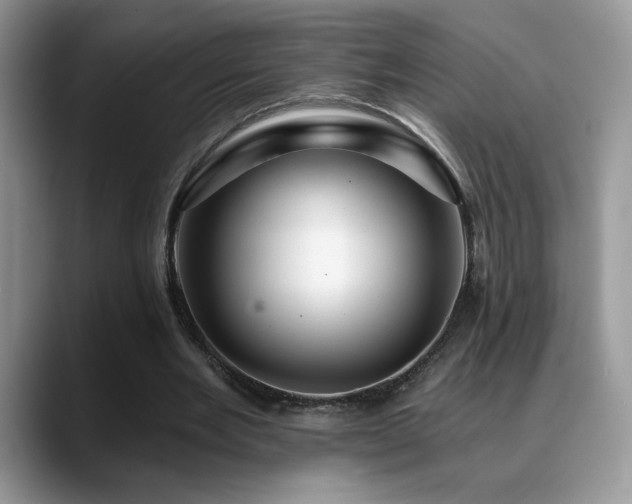 X0000088860485200706081155