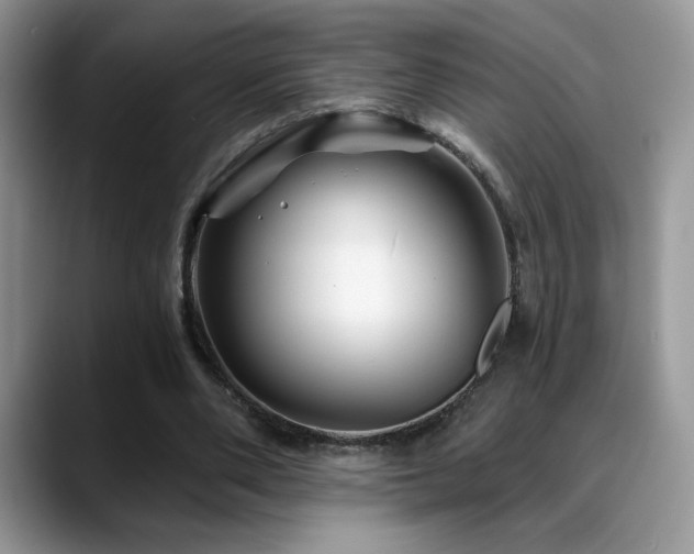 X0000088860486200706081155