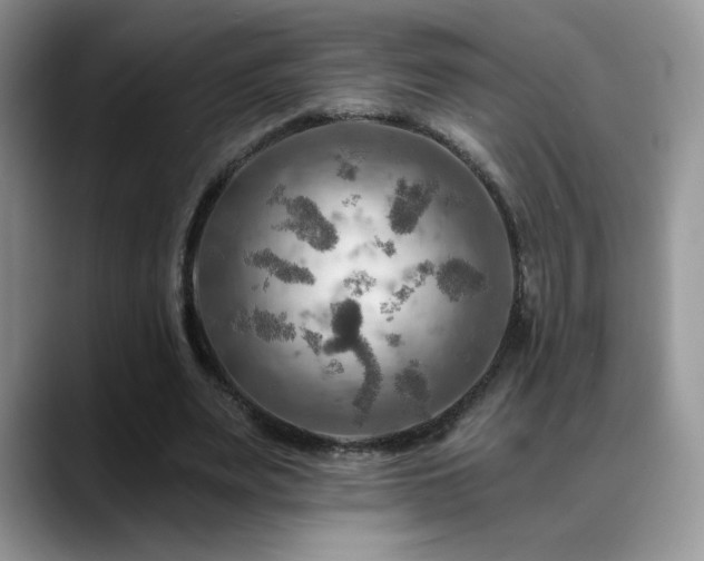 X0000088860487200706081155