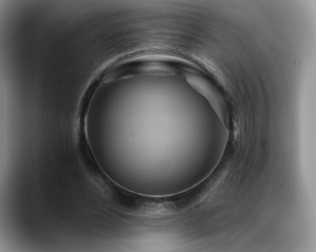 X0000088860488200706081155