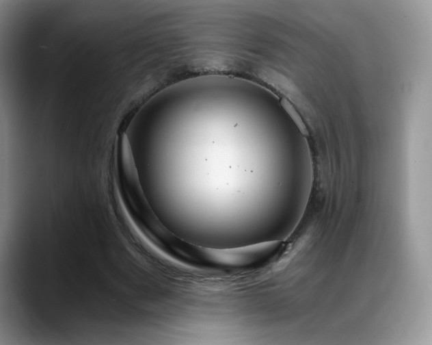 X0000088860489200706081155