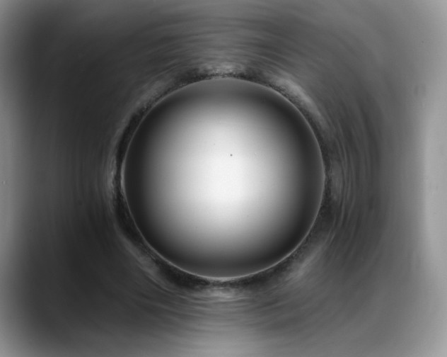 X0000088860490200706081155
