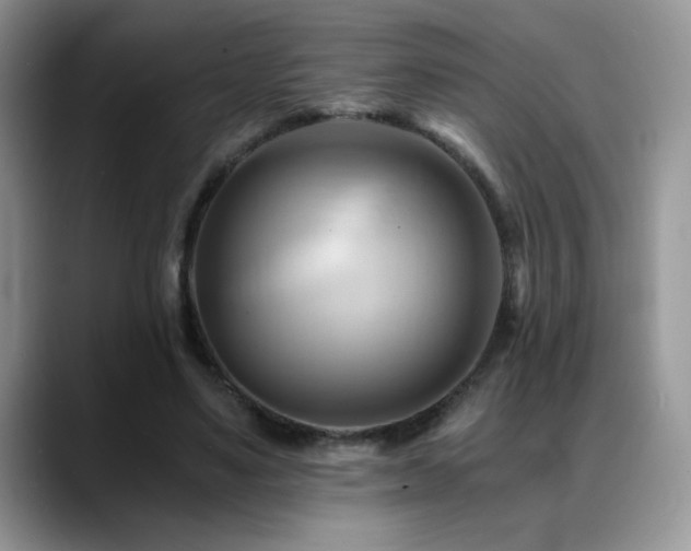 X0000088860491200706081155
