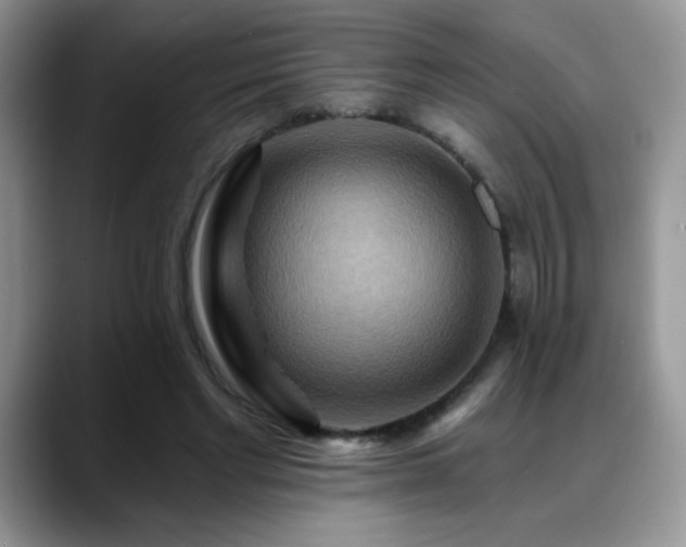 X0000088860493200706081155