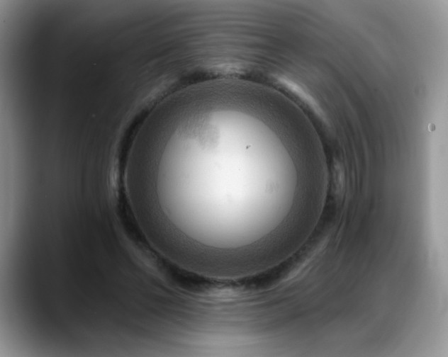 X0000088860494200706081155