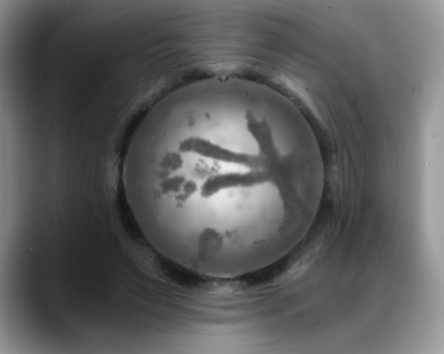 X0000088860495200706081155
