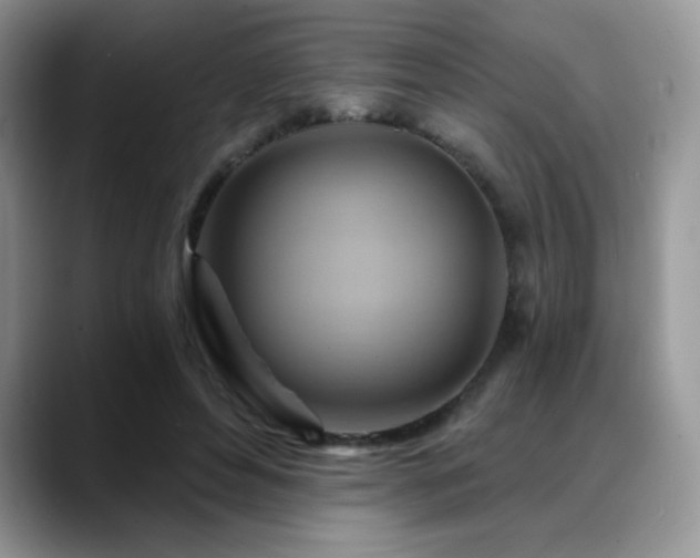 X0000088860496200706081155