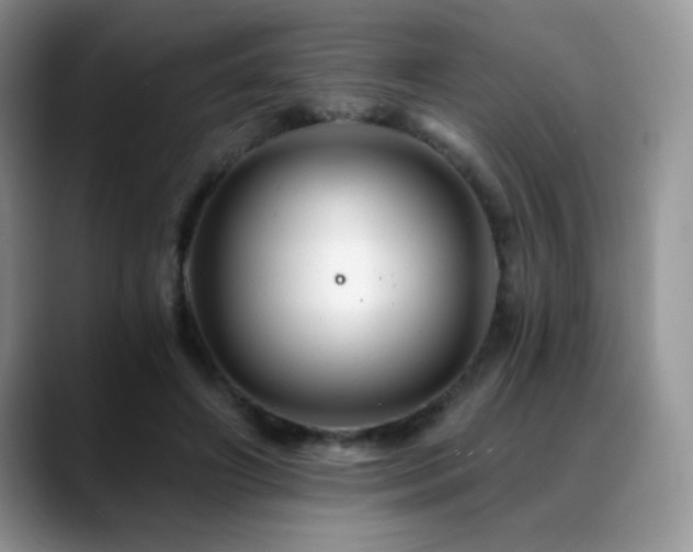 X0000088860498200706081155