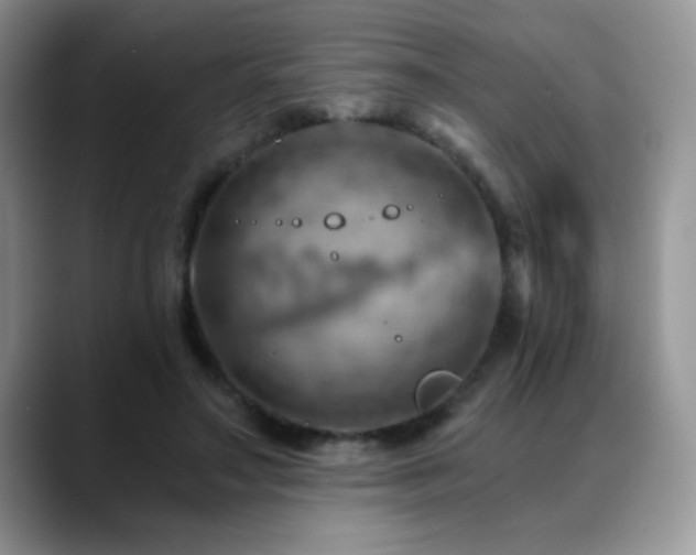 X0000088860499200706081155