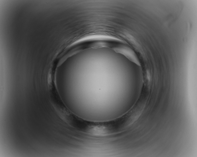X0000088860500200706081155