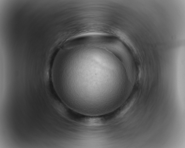 X0000088860501200706081155
