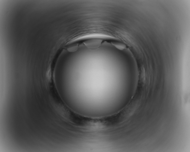 X0000088860502200706081155