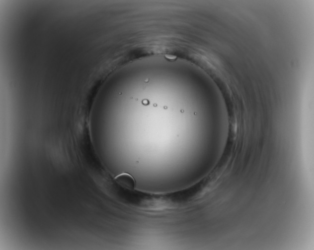 X0000088860503200706081155