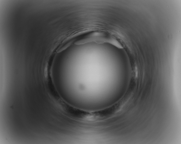 X0000088860504200706081155