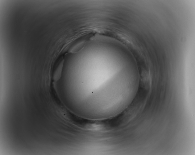 X0000088860506200706081155